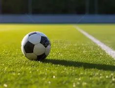 大乐透期号,专家推荐,美洲狮避雷,爱游戏app,爱游戏官网,爱游戏体育官网,爱游戏体育app