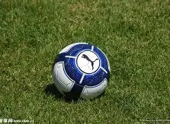 上海国少国,青选拔赛成,功举办,爱游戏app,爱游戏官网,爱游戏体育官网,爱游戏体育app